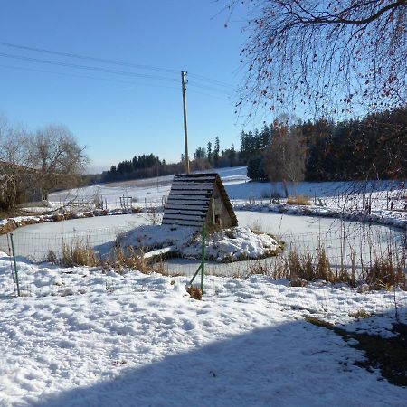 Wellnesshotel Schiesselhof Grafenhausen Exteriör bild