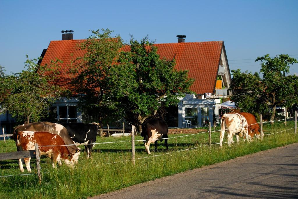 Wellnesshotel Schiesselhof Grafenhausen Rum bild