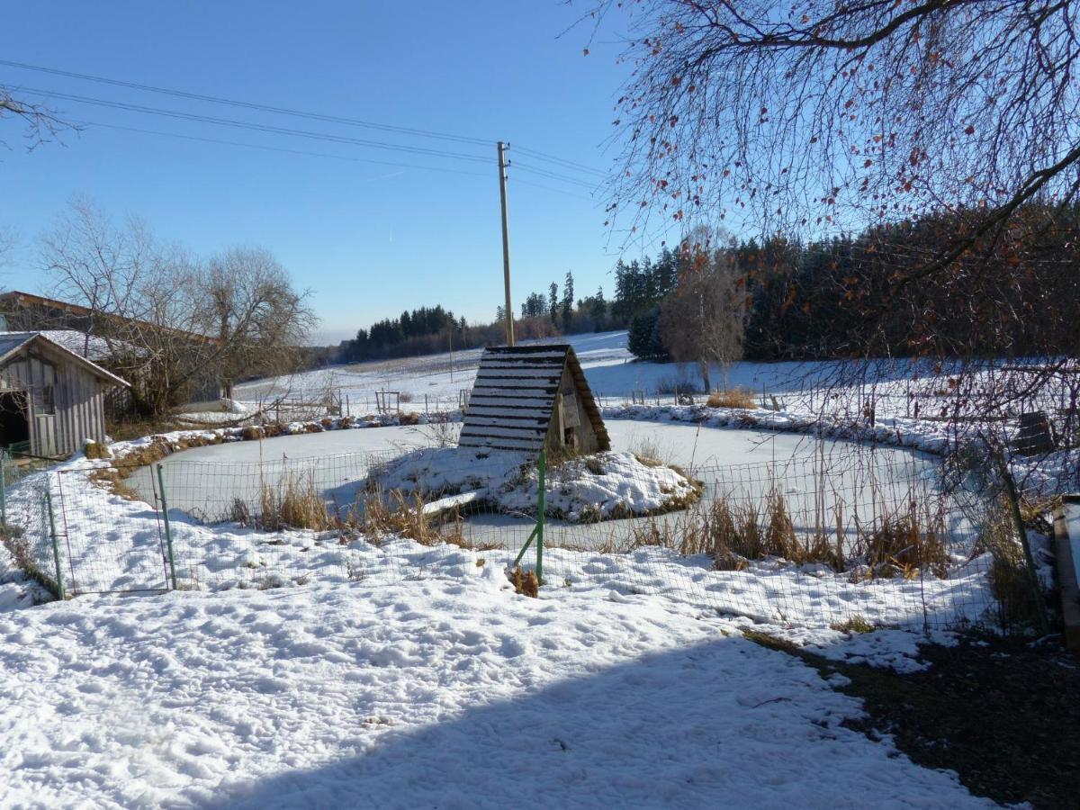 Wellnesshotel Schiesselhof Grafenhausen Exteriör bild